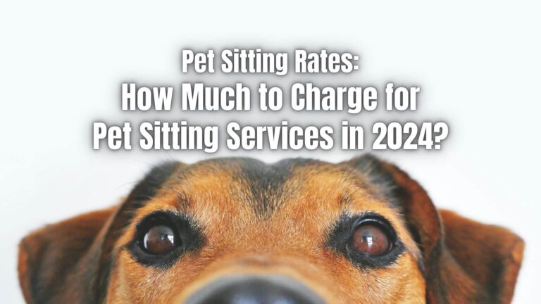 how-much-to-charge-for-pet-sitting-services-reliabills