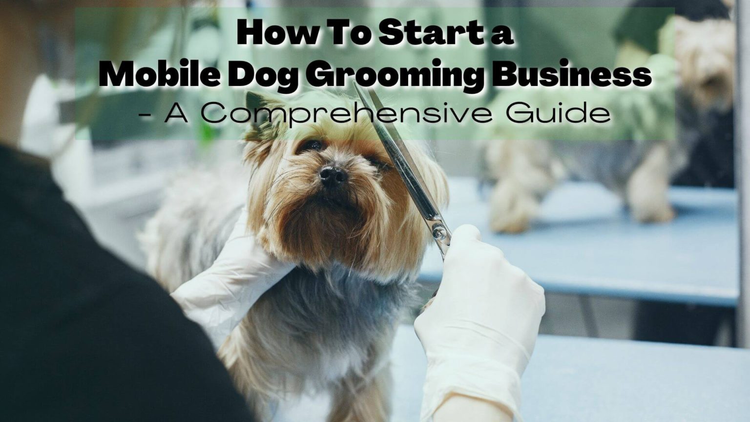 how-to-start-a-mobile-dog-grooming-business-reliabills